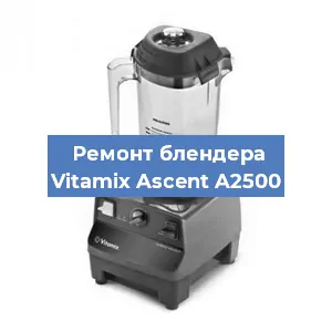 Замена щеток на блендере Vitamix Ascent A2500 в Нижнем Новгороде